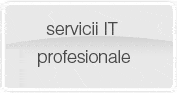 Servicii IT Profesionale